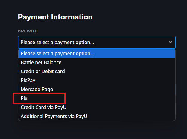 Payment-information-pix.png